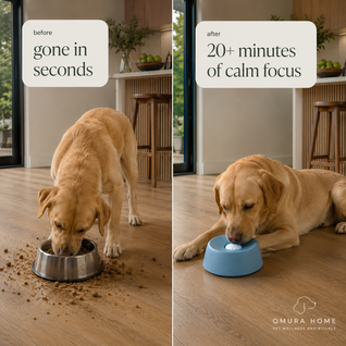 The Calm Bowl™ - Slow Feed, Enriching & Calming Dog Bowl
