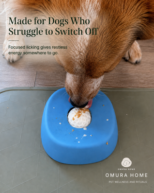 The Calm Bowl™ - Slow Feed, Enriching & Calming Dog Bowl