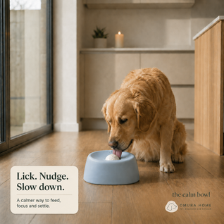 The Calm Bowl™ - Slow Feed, Enriching & Calming Dog Bowl