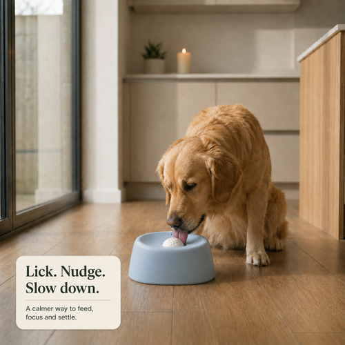 The Calm Bowl™ 2-in-1 Slow Feeder Calming Dog Bowl