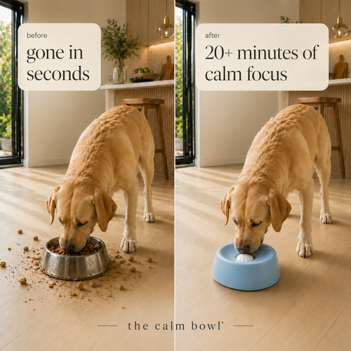 The Calm Bowl™ 2-in-1 Slow Feeder Calming Dog Bowl