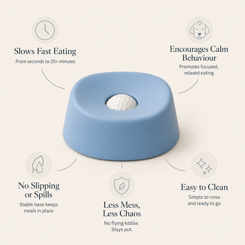 The Calm Bowl™ 2-in-1 Slow Feeder Calming Dog Bowl