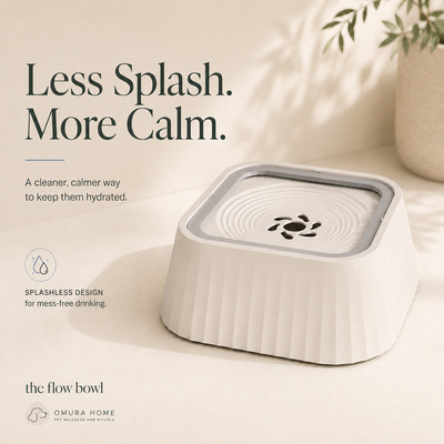 The Flow Bowl - Splashless Water Bowl for Cleaner, Calmer Drinking
