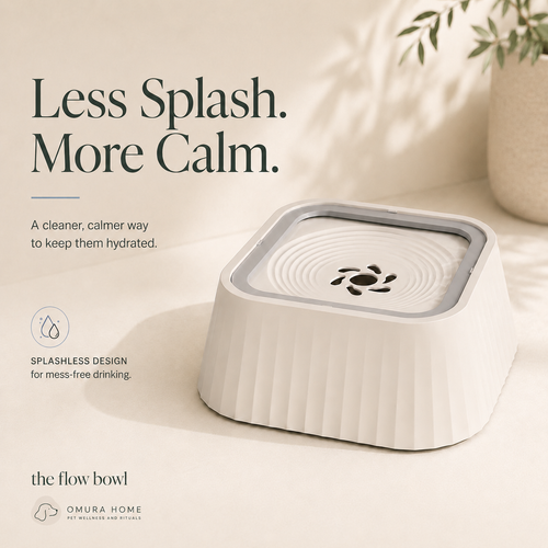 The Flow Bowl - Splashless Water Bowl for Cleaner, Calmer Drinking