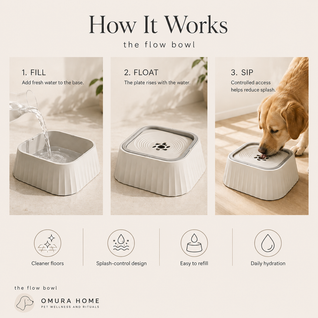 The Flow Bowl - Splashless Water Bowl for Cleaner, Calmer Drinking